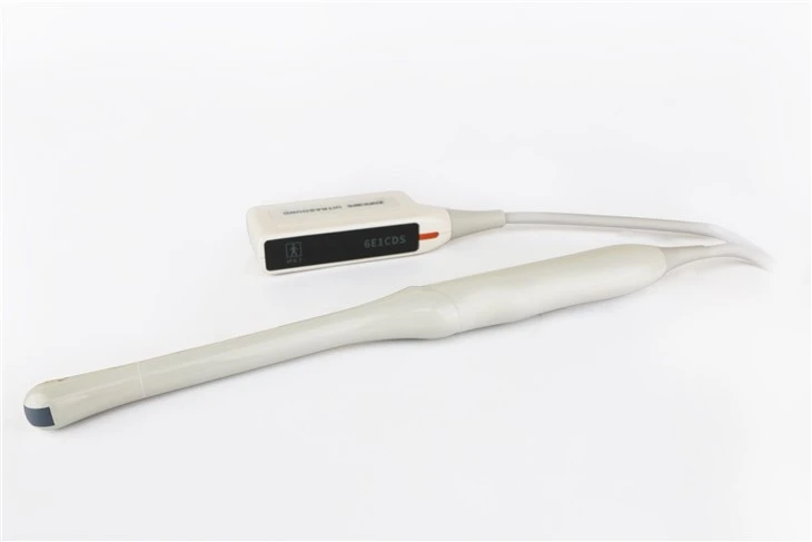 Ultrasound Intracavity Probe
